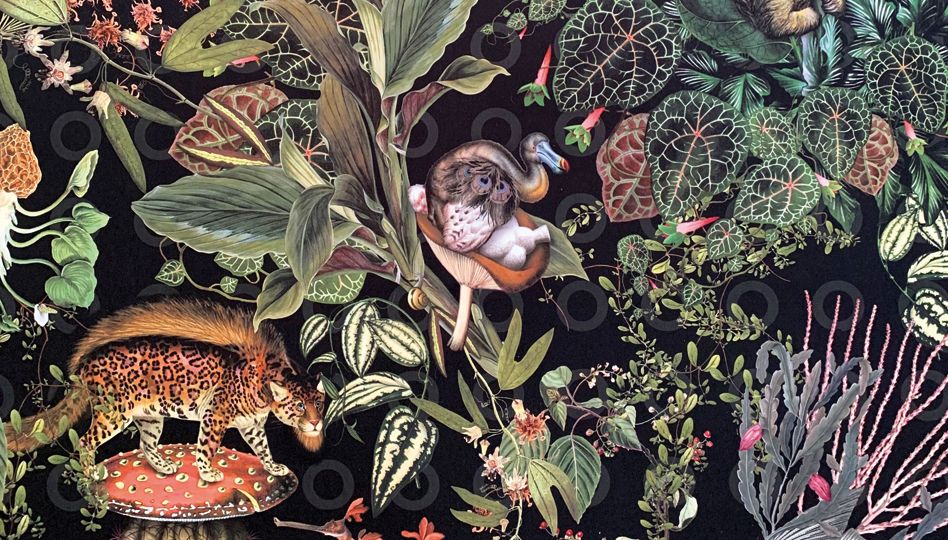 The Extinct Animals Collection Tapete | Dres. Jung – Fachzahnärzte Donauwörth